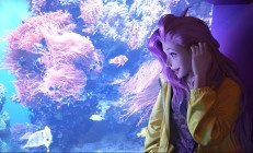 天国拯救2如何完成狩猎任务？森林资源获取指南
